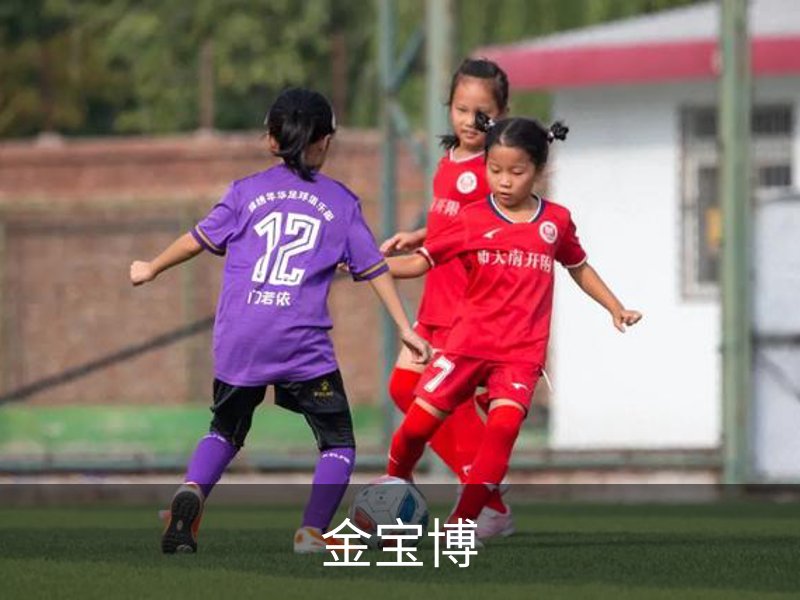 关于金宝博